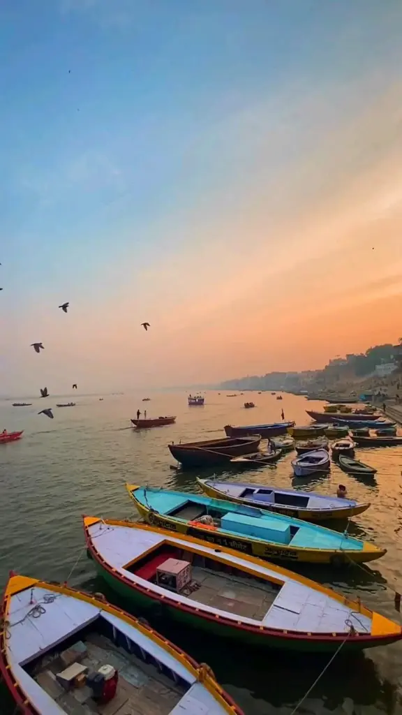 #loveshackfancy #viralpost #reels #banarasi….webp